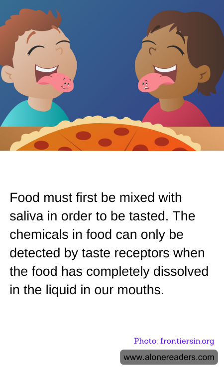 General Knowledge Learning Cards