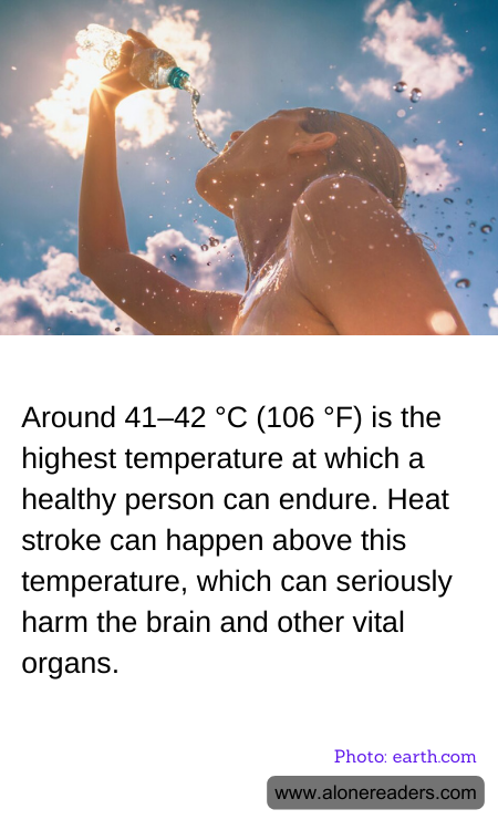 General Knowledge Learning Cards