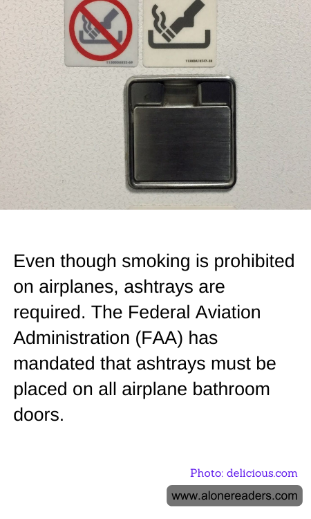 General Knowledge Learning Cards