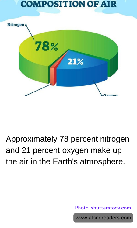 General Knowledge Learning Cards