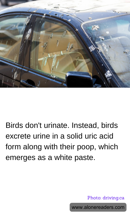 General Knowledge Learning Cards