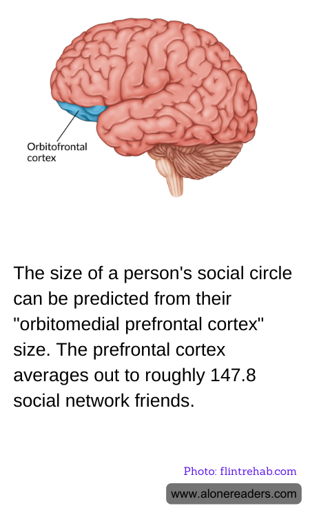 General Knowledge Learning Cards