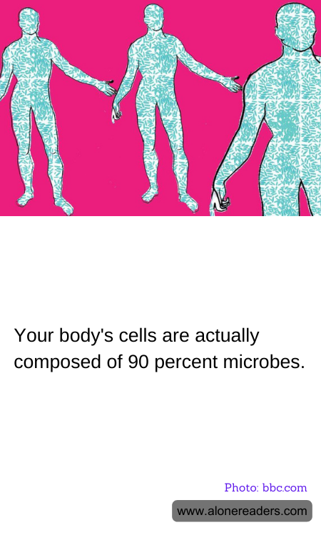 General Knowledge Learning Cards