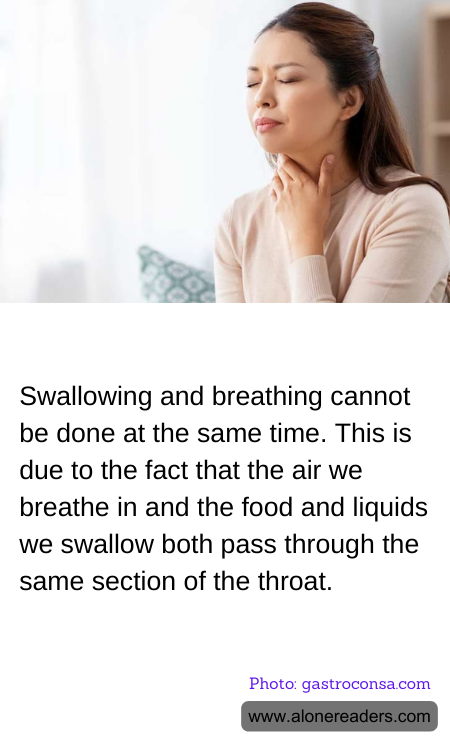 General Knowledge Learning Cards