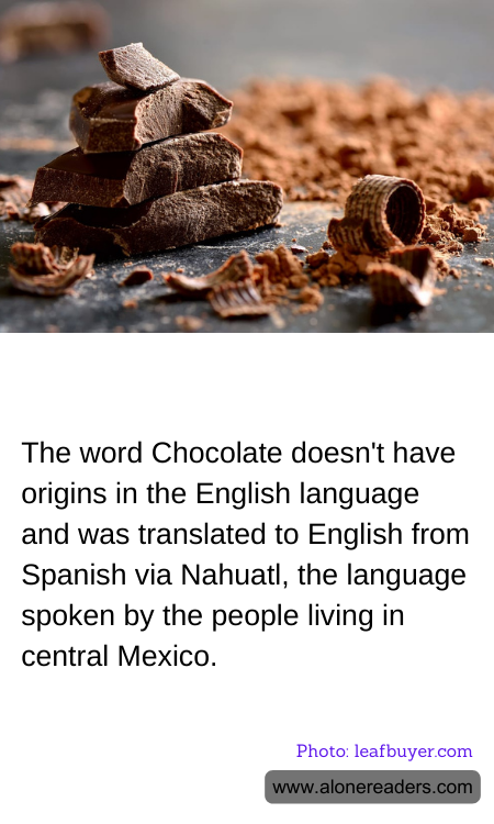 General Knowledge Learning Cards