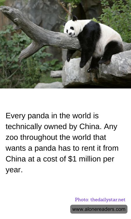Every panda in the world is technically owned by China. Any zoo throughout the world that wants a panda has to rent it from China at a cost of $1 million per year.