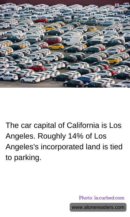 General Knowledge Learning Cards