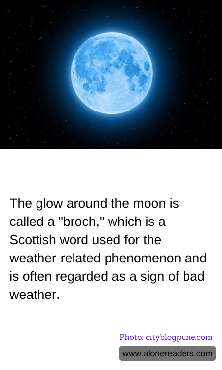 General Knowledge Learning Cards