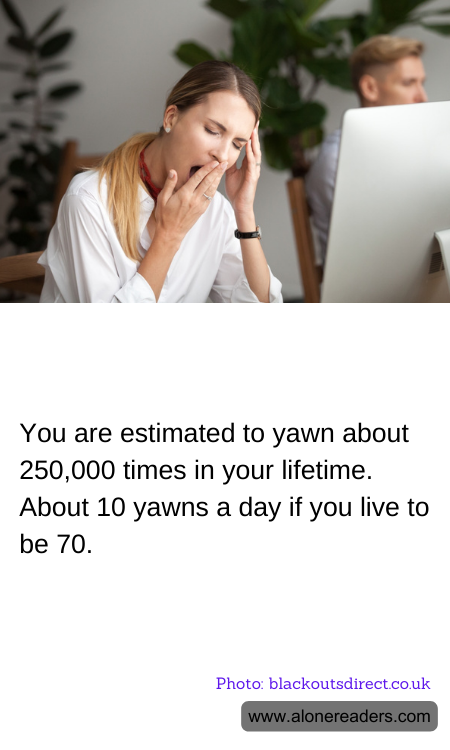 General Knowledge Learning Cards