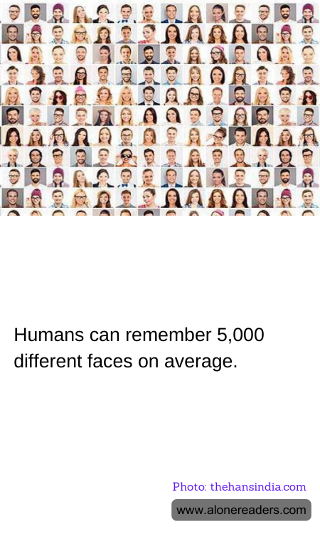 Humans can remember 5,000 different faces on average.