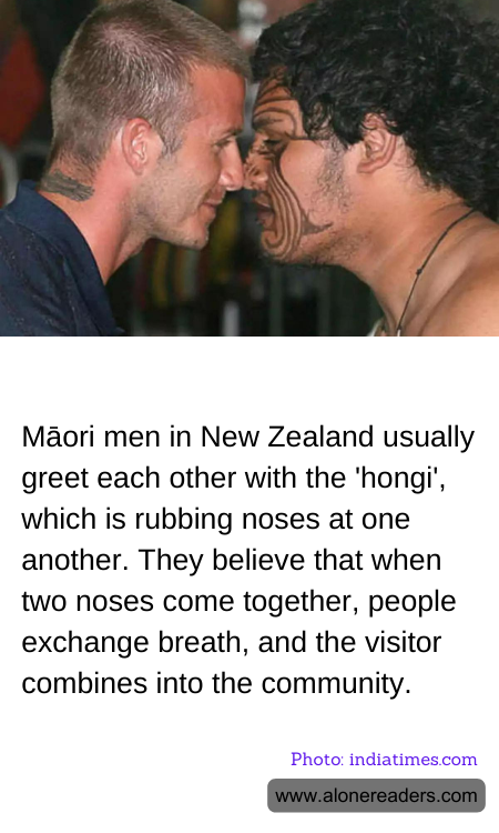 General Knowledge Learning Cards