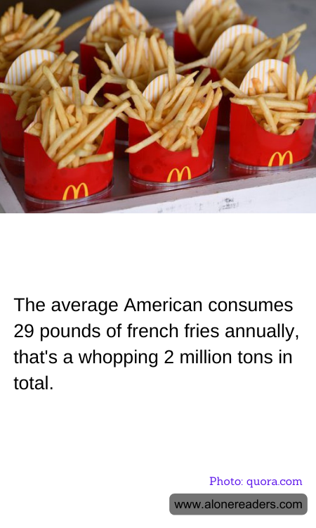 General Knowledge Learning Cards