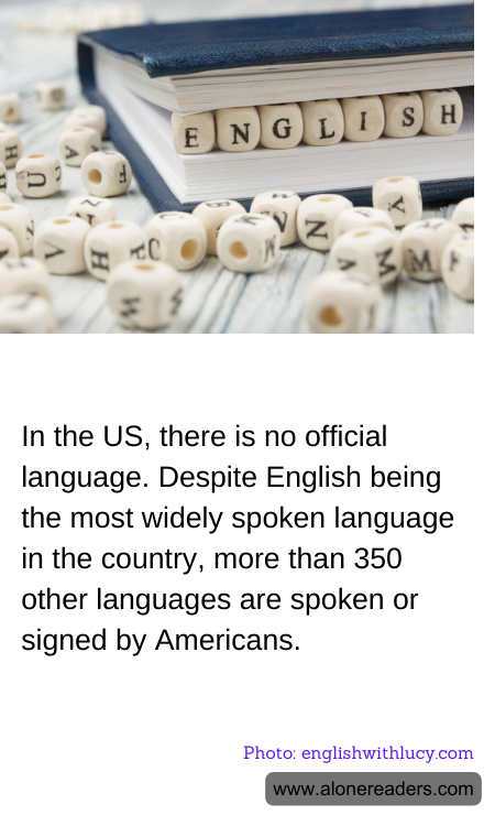 General Knowledge Learning Cards