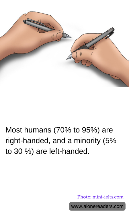 General Knowledge Learning Cards