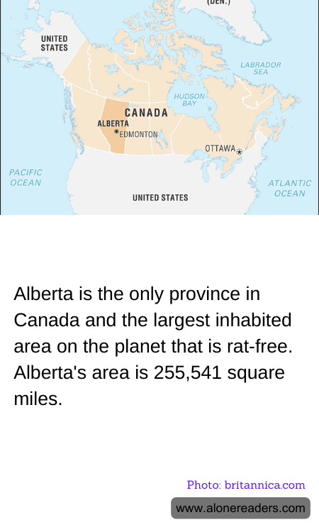General Knowledge Learning Cards