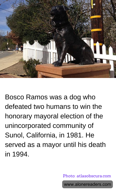 General Knowledge Learning Cards