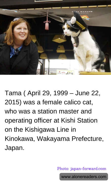 General Knowledge Learning Cards