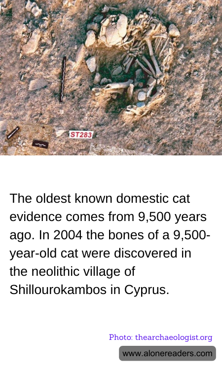 General Knowledge Learning Cards