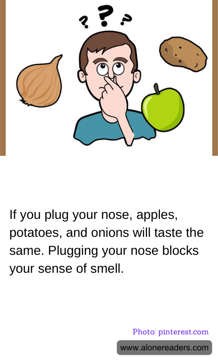 General Knowledge Learning Cards