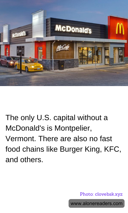 General Knowledge Learning Cards