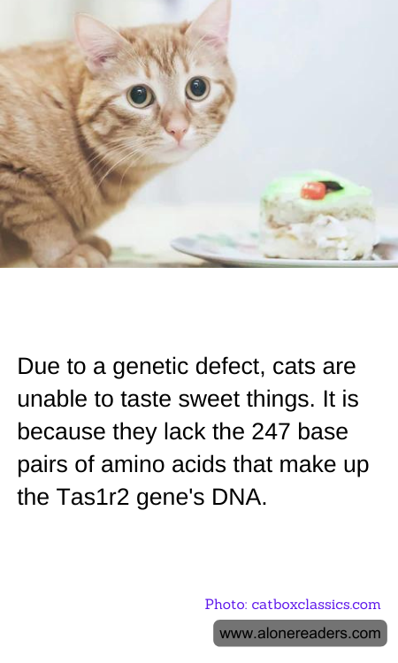 Due to a genetic defect, cats are unable to taste sweet things. It is because they lack the 247 base pairs of amino acids that make up the Tas1r2 gene's DNA.