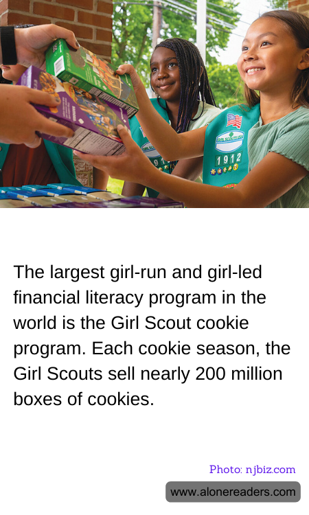 General Knowledge Learning Cards