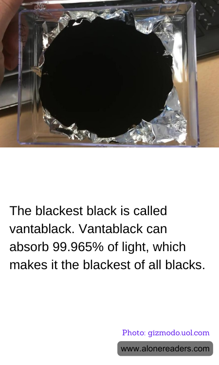 General Knowledge Learning Cards