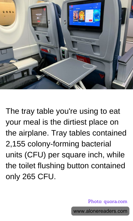 The tray table you're using to eat your meal is the dirtiest place on the airplane. Tray tables contained 2,155 colony-forming bacterial units (CFU) per square inch, while the toilet flushing button contained only 265 CFU.