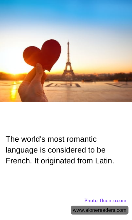 General Knowledge Learning Cards