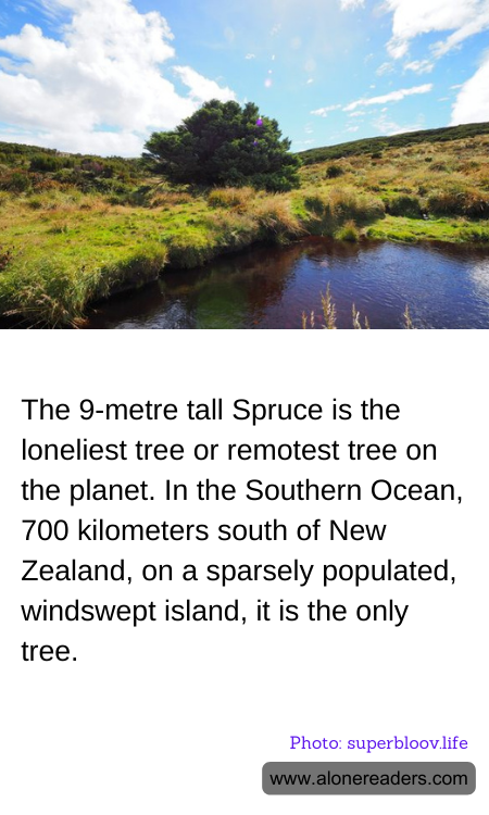 General Knowledge Learning Cards