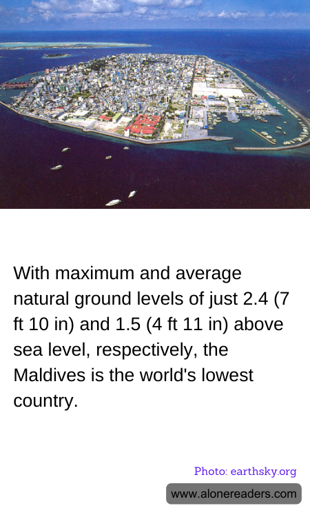 General Knowledge Learning Cards