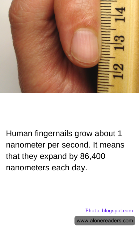 General Knowledge Learning Cards