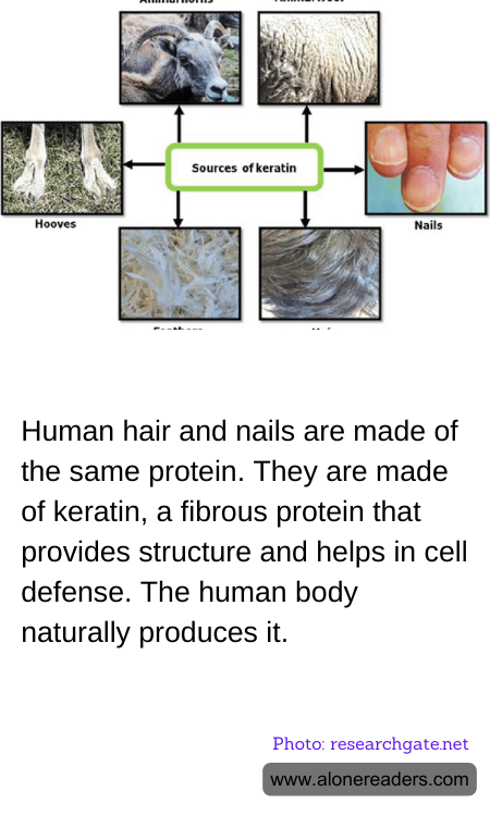 General Knowledge Learning Cards