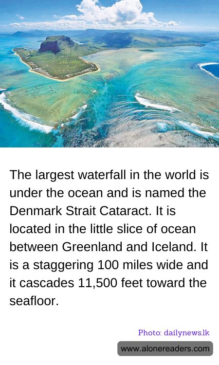 General Knowledge Learning Cards