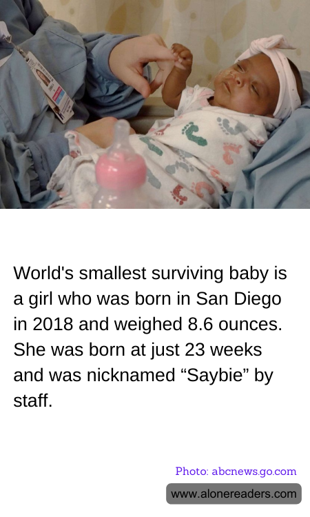 General Knowledge Learning Cards