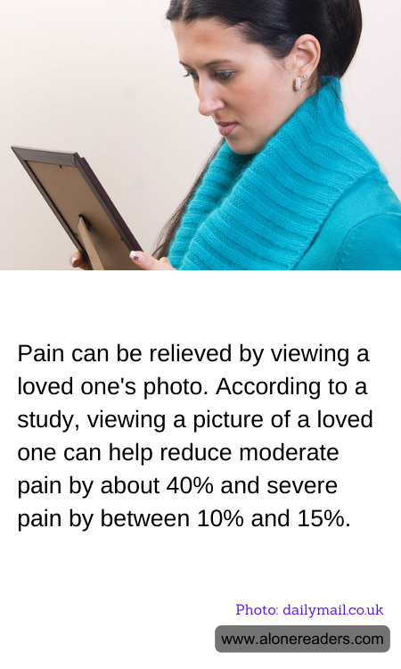 General Knowledge Learning Cards