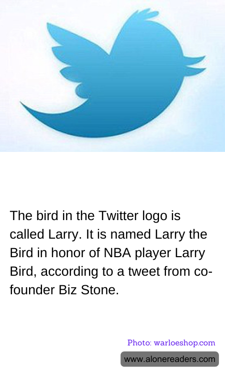 General Knowledge Learning Cards