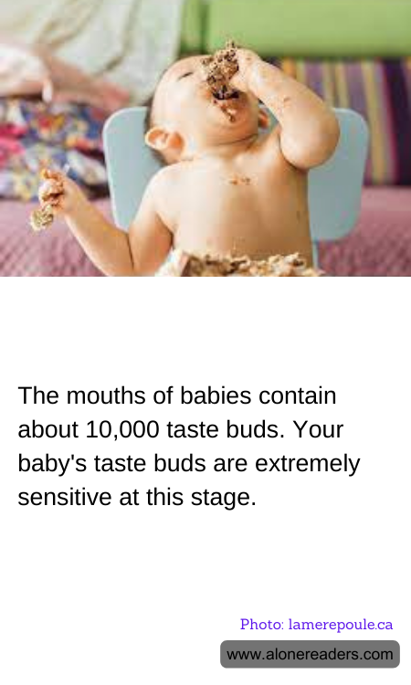 General Knowledge Learning Cards