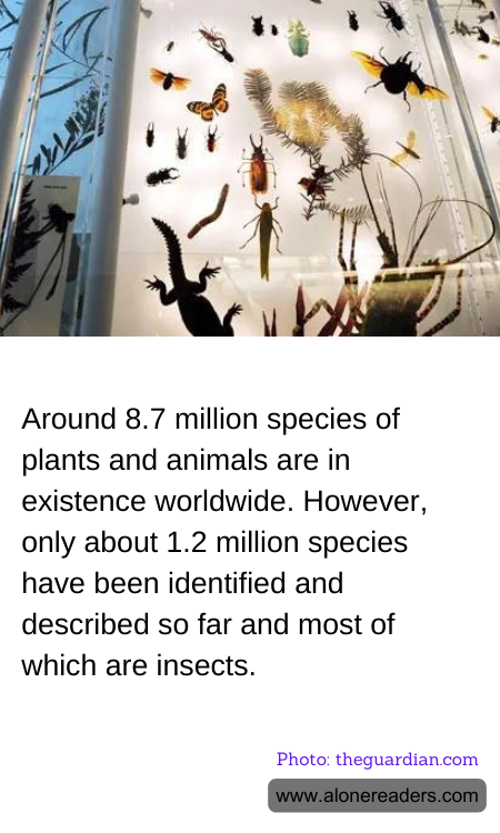 General Knowledge Learning Cards