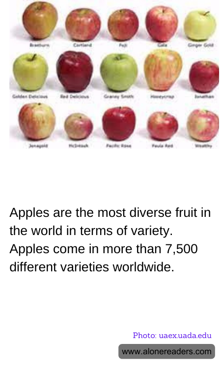 Apples are the most diverse fruit in the world in terms of variety. Apples come in more than 7,500 different varieties worldwide.