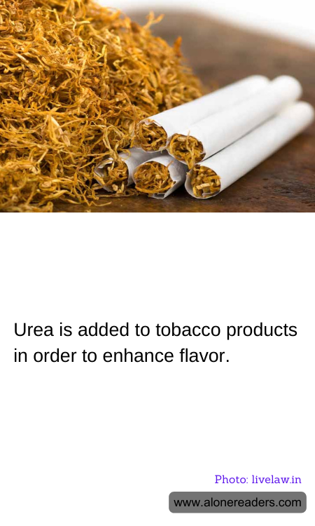 General Knowledge Learning Cards