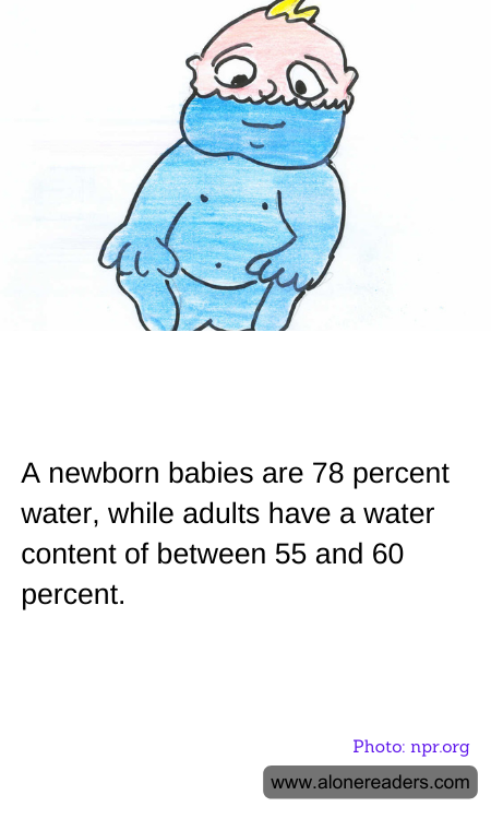 General Knowledge Learning Cards