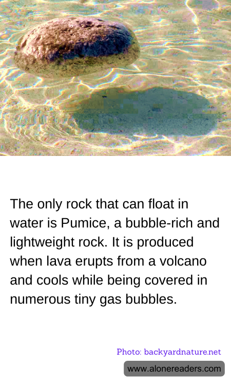 General Knowledge Learning Cards