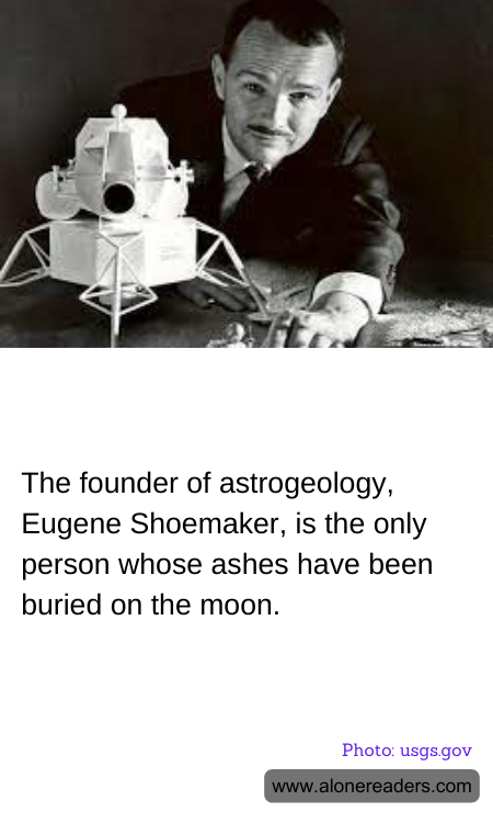 General Knowledge Learning Cards