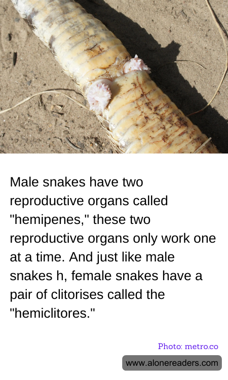 General Knowledge Learning Cards