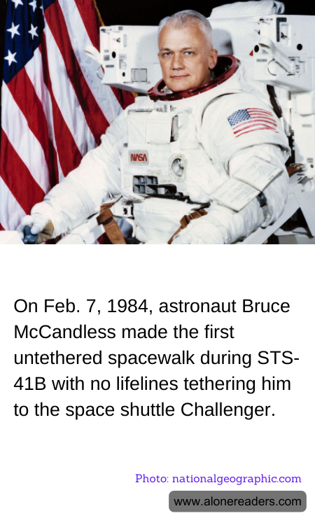 General Knowledge Learning Cards