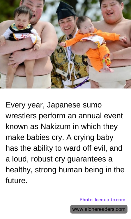 General Knowledge Learning Cards