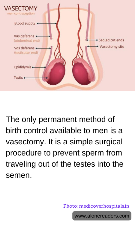 General Knowledge Learning Cards