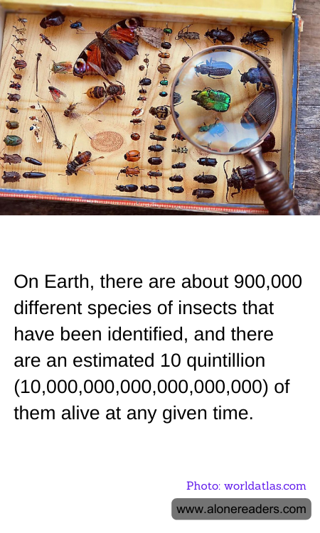 On Earth, there are about 900,000 different species of insects that have been identified, and there are an estimated 10 quintillion (10,000,000,000,000,000,000) of them alive at any given time.