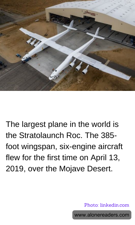 General Knowledge Learning Cards